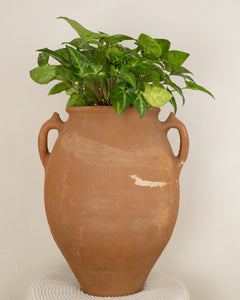 Marokkaanse terracotta olijf pot